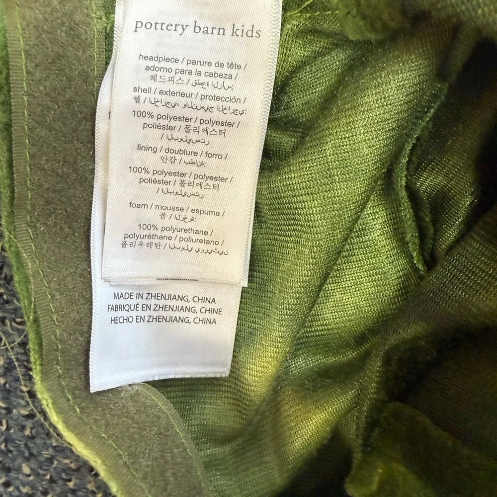 Pottery Barn Kids Green Dinosaur Costume with Blue Spikes